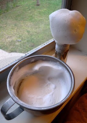 foamy