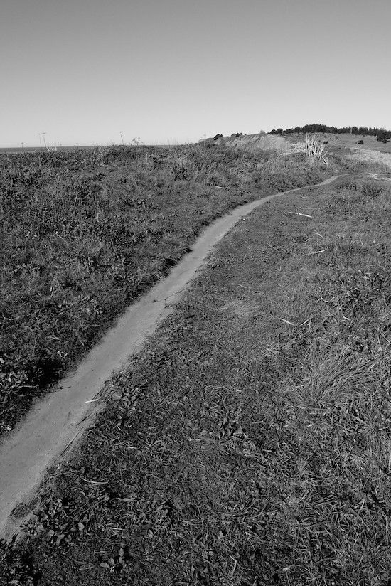 Trail